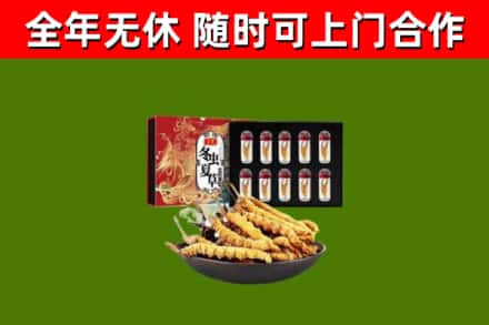 巴林左旗回收冬虫夏草价格